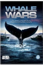 Watch Whale Wars Niter